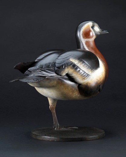 Summer Exhibition 2012 - Red-breasted Goose (endangered species)